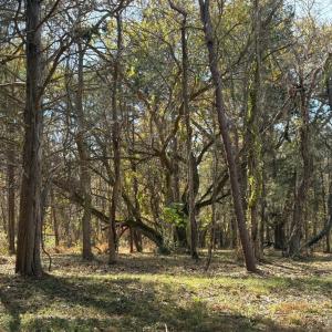 Photo #25 of 9 Dulwich Drive, Amherst, VA 21.7 acres