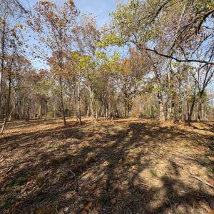 Photo #20 of 9 Dulwich Drive, Amherst, VA 21.7 acres