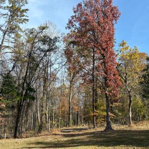 Photo #23 of 9 Dulwich Drive, Amherst, VA 21.7 acres