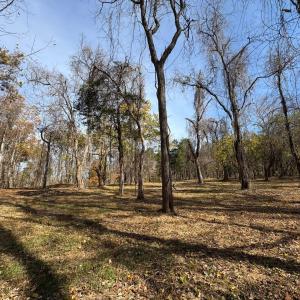 Photo #18 of 9 Dulwich Drive, Amherst, VA 21.7 acres