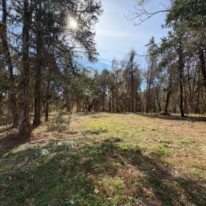 Photo #24 of 9 Dulwich Drive, Amherst, VA 21.7 acres