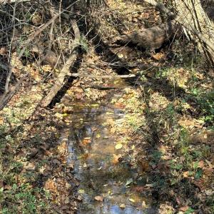 Photo #17 of 99 Richmond Highway, Amherst, VA 15.3 acres