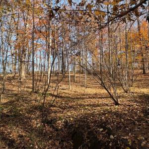 Photo #22 of 99 Richmond Highway, Amherst, VA 15.3 acres