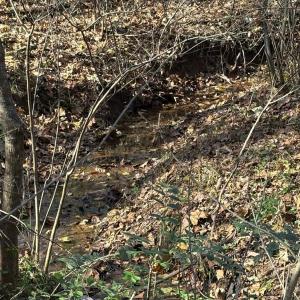 Photo #16 of 99 Richmond Highway, Amherst, VA 15.3 acres