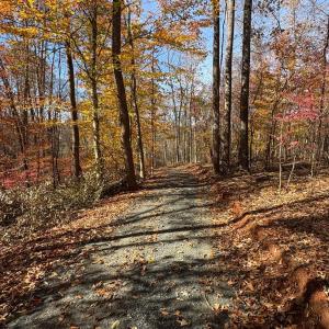 Photo #5 of 99 Richmond Highway, Amherst, VA 15.3 acres