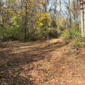 Photo #23 of 99 Richmond Highway, Amherst, VA 15.3 acres