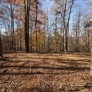 Photo #2 of 99 Richmond Highway, Amherst, VA 15.3 acres