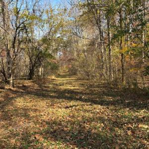 Photo #14 of 99 Richmond Highway, Amherst, VA 15.3 acres