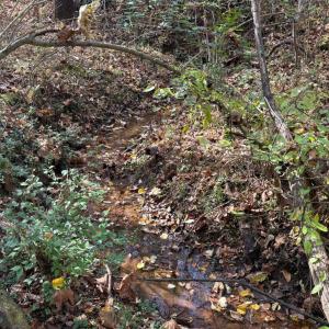 Photo #24 of 99 Richmond Highway, Amherst, VA 15.3 acres