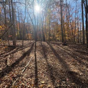 Photo #8 of 99 Richmond Highway, Amherst, VA 15.3 acres