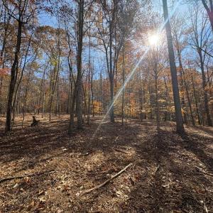 Photo #12 of 99 Richmond Highway, Amherst, VA 15.3 acres