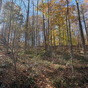 Photo #21 of 99 Richmond Highway, Amherst, VA 15.3 acres