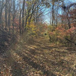 Photo #18 of 99 Richmond Highway, Amherst, VA 15.3 acres