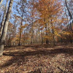 Photo #13 of 99 Richmond Highway, Amherst, VA 15.3 acres