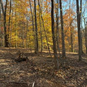 Photo #1 of 99 Richmond Highway, Amherst, VA 15.3 acres