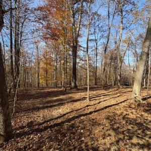 Photo #10 of 99 Richmond Highway, Amherst, VA 15.3 acres