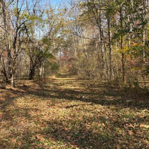 Photo #15 of 99 Richmond Highway, Amherst, VA 15.3 acres