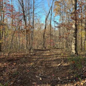 Photo #6 of 99 Richmond Highway, Amherst, VA 15.3 acres