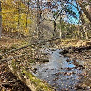 Photo #1 of Buck Hollow Road, Amherst, VA 50.0 acres