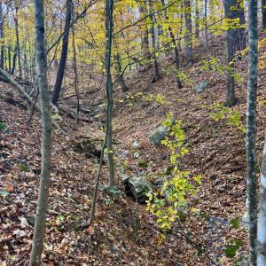 Photo #3 of Buck Hollow Road, Amherst, VA 50.0 acres