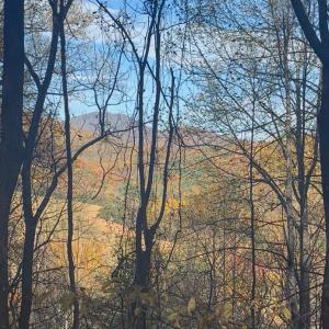 Photo #7 of Buck Hollow Road, Amherst, VA 50.0 acres