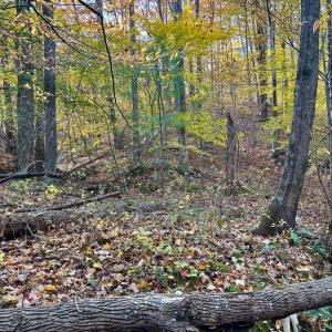 Photo #2 of Buck Hollow Road, Amherst, VA 50.0 acres