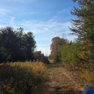 Photo #2 of Wildway Road, Appomattox, VA 37.5 acres