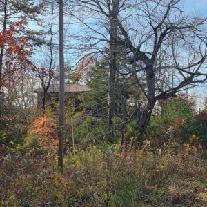 Photo #5 of Wildway Road, Appomattox, VA 37.5 acres