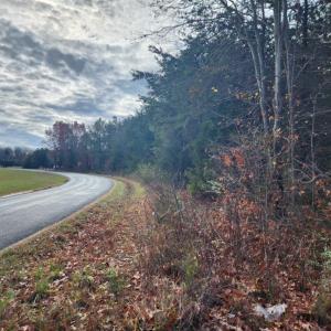 Photo #1 of Wildway Road, Appomattox, VA 37.5 acres