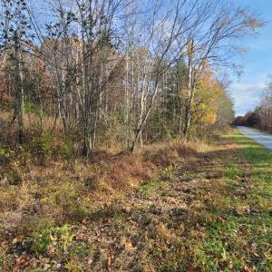 Photo #1 of Pittsville Road, Gretna, VA 1.6 acres