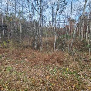 Photo #2 of Pittsville Road, Gretna, VA 1.6 acres