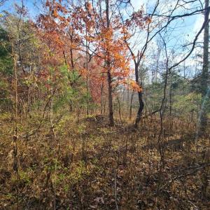 Photo #3 of Pittsville Road, Gretna, VA 1.6 acres
