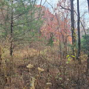 Photo #5 of Pittsville Road, Gretna, VA 1.6 acres