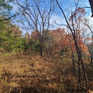 Photo #4 of Pittsville Road, Gretna, VA 1.6 acres