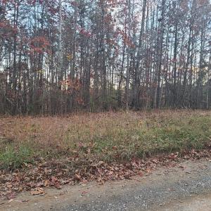 Photo #2 of Ashwell Ridge Drive, Huddleston, VA 7.2 acres