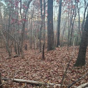 Photo #3 of Ashwell Ridge Drive, Huddleston, VA 7.2 acres