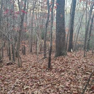 Photo #5 of Ashwell Ridge Drive, Huddleston, VA 7.2 acres