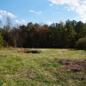 Photo #14 of 570 Old Well Road, Phenix, VA 34.6 acres