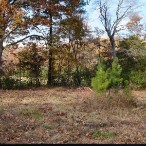 Photo #7 of 570 Old Well Road, Phenix, VA 34.6 acres