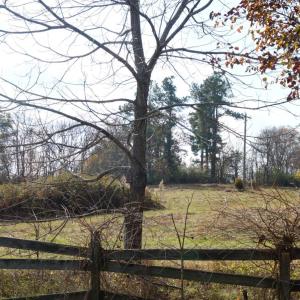 Photo #11 of 570 Old Well Road, Phenix, VA 34.6 acres