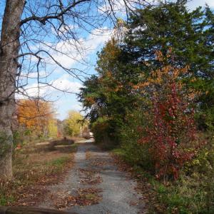 Photo #4 of 570 Old Well Road, Phenix, VA 34.6 acres