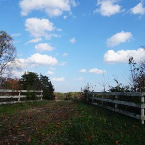 Photo #2 of 570 Old Well Road, Phenix, VA 34.6 acres