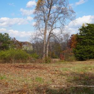 Photo #5 of 570 Old Well Road, Phenix, VA 34.6 acres