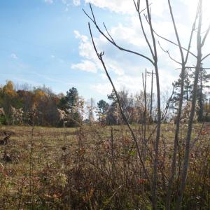 Photo #10 of 570 Old Well Road, Phenix, VA 34.6 acres