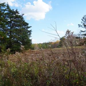 Photo #8 of 570 Old Well Road, Phenix, VA 34.6 acres