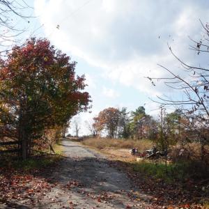 Photo #15 of 570 Old Well Road, Phenix, VA 34.6 acres