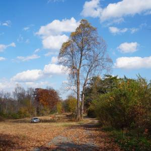 Photo #6 of 570 Old Well Road, Phenix, VA 34.6 acres