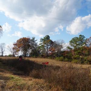 Photo #16 of 570 Old Well Road, Phenix, VA 34.6 acres