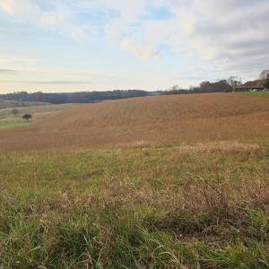 Photo #2 of Stewartsville Road, Moneta, VA 4.0 acres