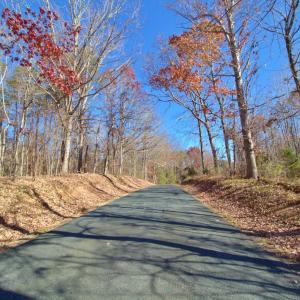 Photo #3 of Bent Creek Road, Concord, VA 6.4 acres